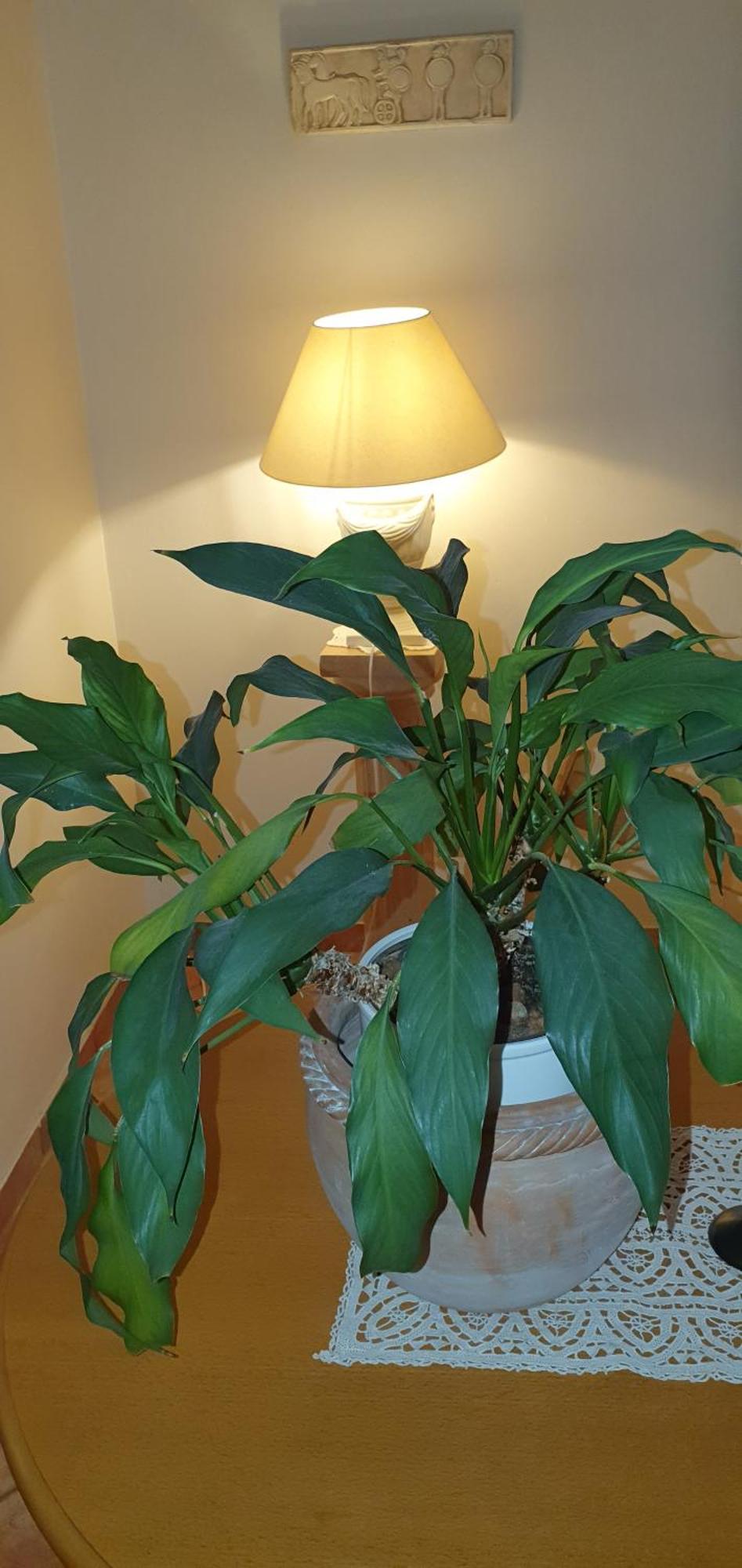 Wohnung In Zentrumsnaehe Beim Hauptbahnhof Viyana Oda fotoğraf